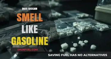 Unraveling Myths: The Truth About Cocaine's Odor