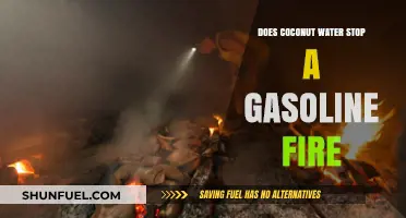 Debunking Myths: Can Coconut Water Really Stop a Gasoline Fire?