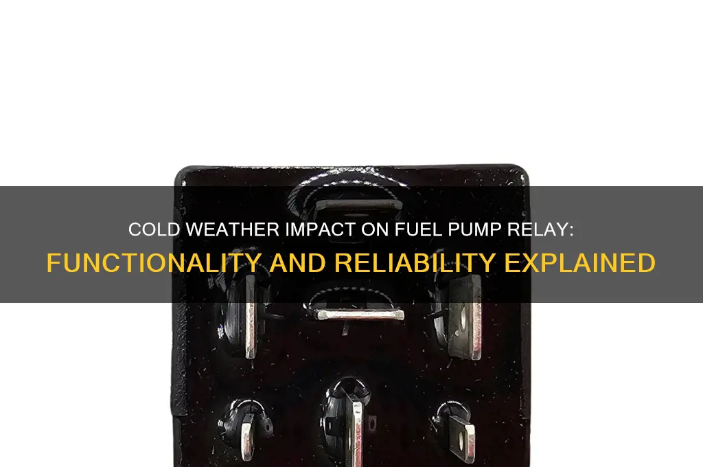 does cold effect fuel pump relay