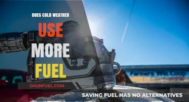 Cold Weather Fuel Consumption: Does Winter Driving Impact Efficiency?
