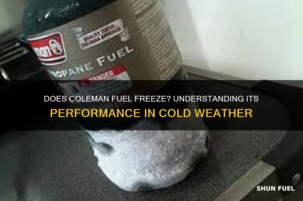 does coleman fuel freeze