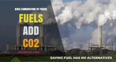 Combustion and CO2: Fossil Fuel's Impact