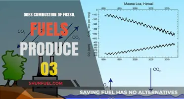Fossil Fuel Combustion: Ozone's Unseen Impact