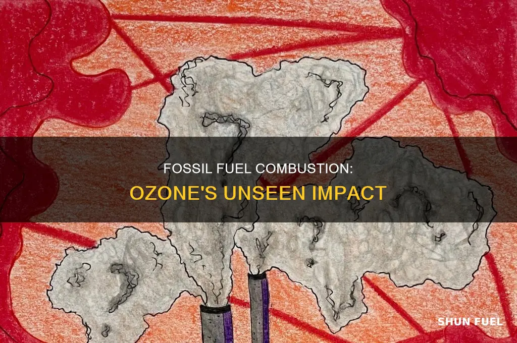 does combustion of fossil fuels produce o3