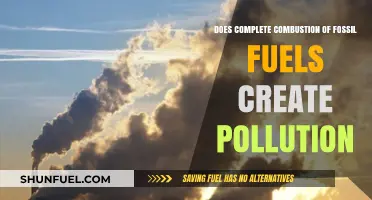 Combustion of Fossil Fuels: Clean Energy or Pollution?