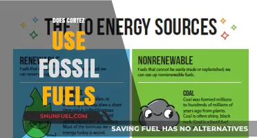 Cortez's Stance on Fossil Fuels: A Green Alternative?