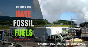 Costa Rica's Energy Sources: Fossil Fuels and Beyond