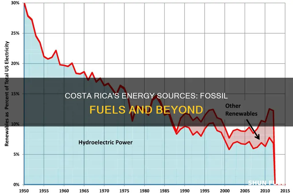 does costa rica have fossil fuels