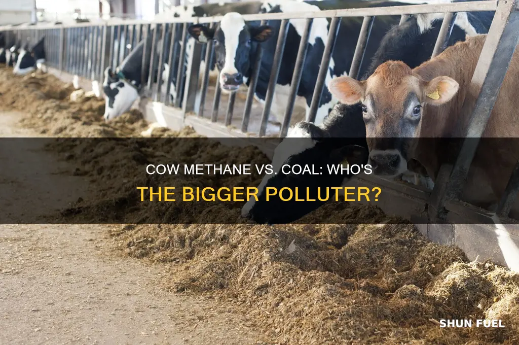 does cow methane produce more than coal fossil fuels