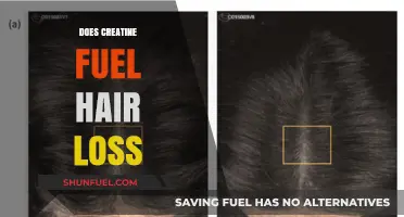 Creatine and Hair Loss: Separating Fact from Fiction in Fitness