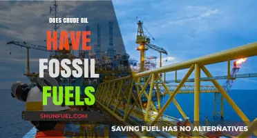 Fossil Fuels: Are They in Crude Oil?
