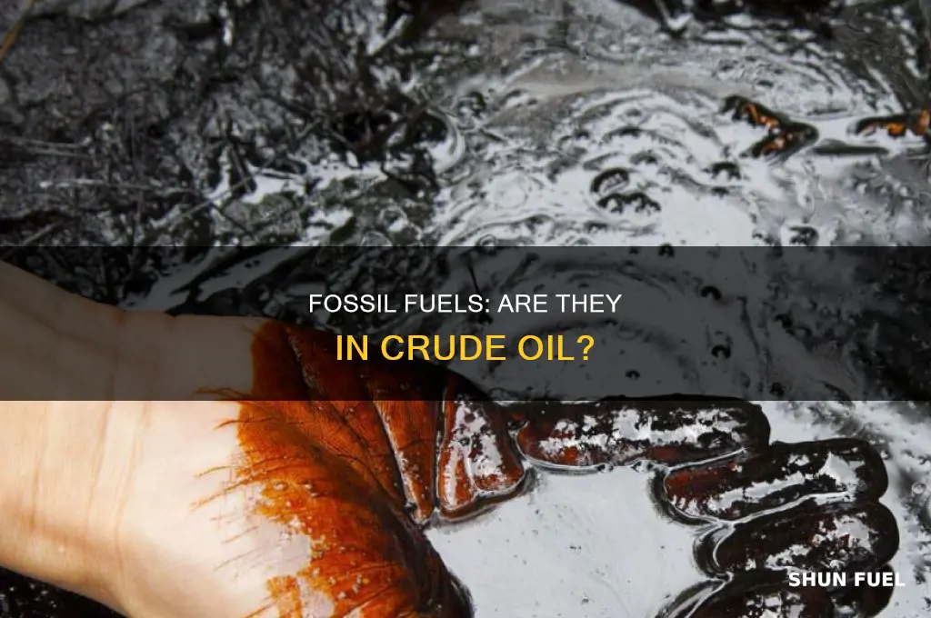 does crude oil have fossil fuels