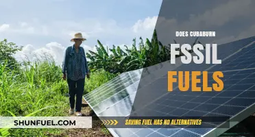 Does Cubaburn Offer a Sustainable Alternative to Fossil Fuels?