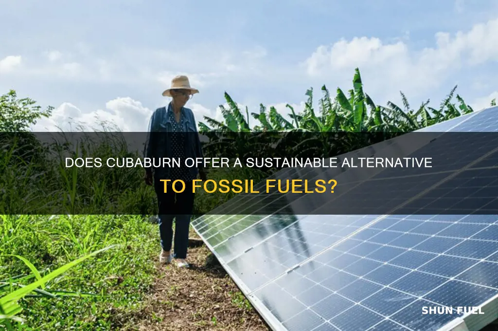 does cubaburn fssil fuels
