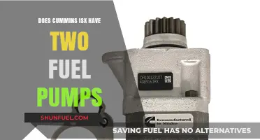 Cummins ISX Fuel System: Dual Pumps Explained and Functionality