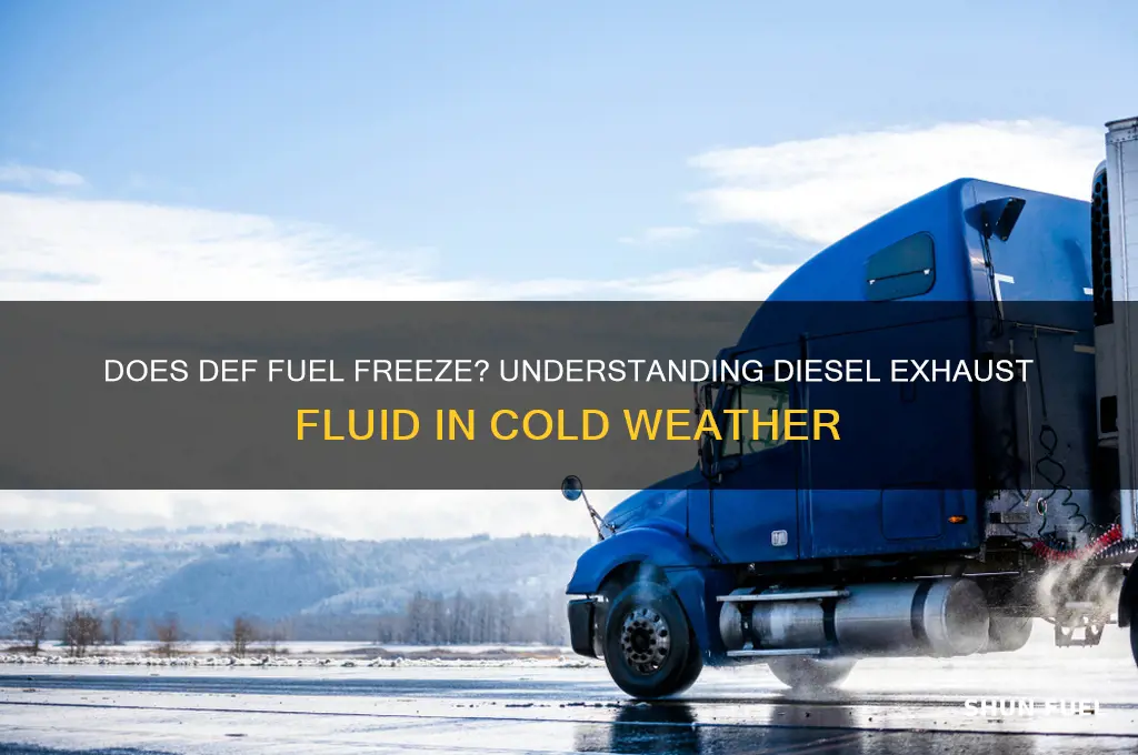 does def fuel freeze