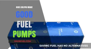 Delphi Fuel Pumps: Reliability, Performance, and Longevity Explored