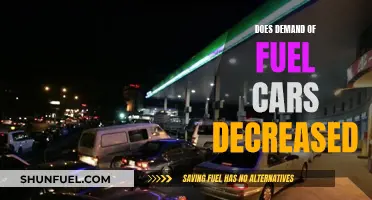 Fuel Cars: Declining Demand and the Future Ahead