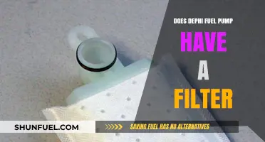 Delphi Fuel Pump Filters: What You Need to Know