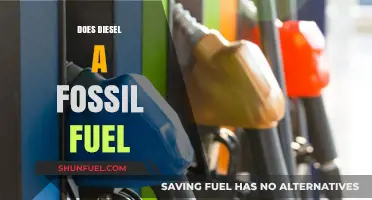 Diesel: Fossil Fuel or Not?