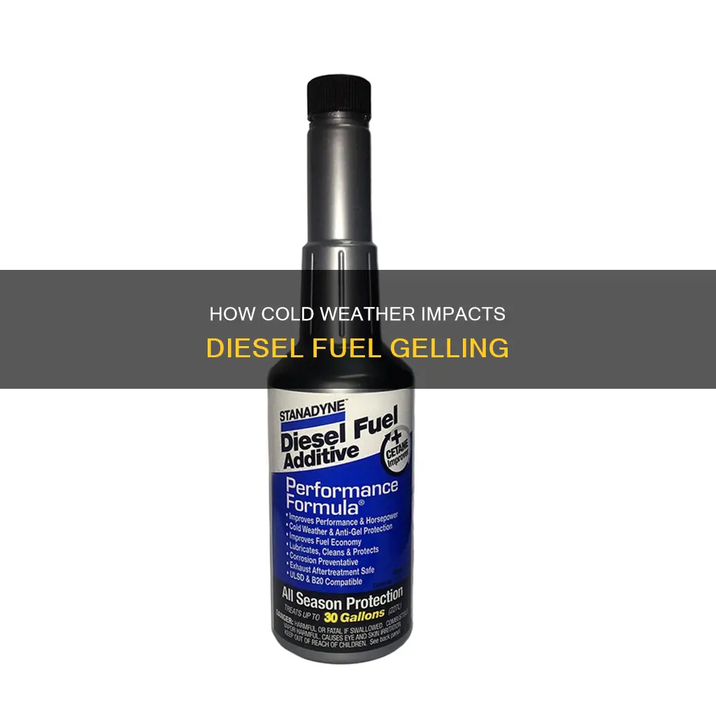 does diesel fuel gel up