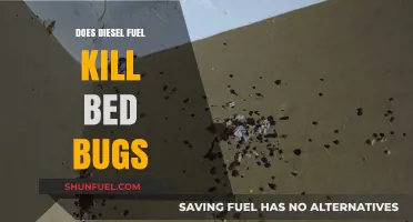 Diesel Fuel: An Effective Bed Bug Exterminator?