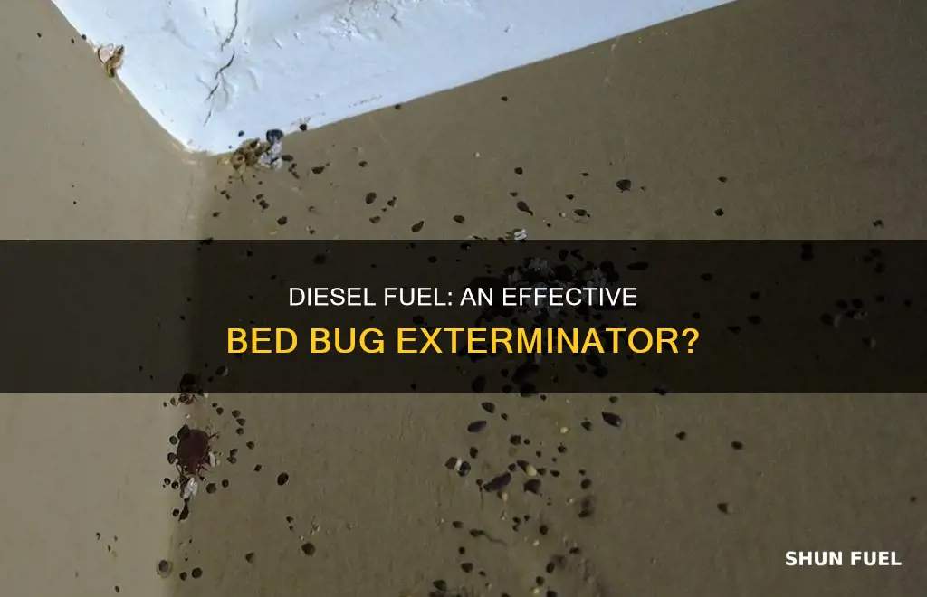 does diesel fuel kill bed bugs