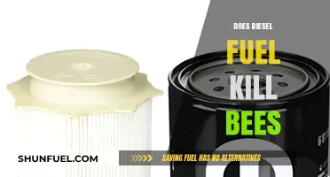 How Diesel Fuel Affects Bees' Lives