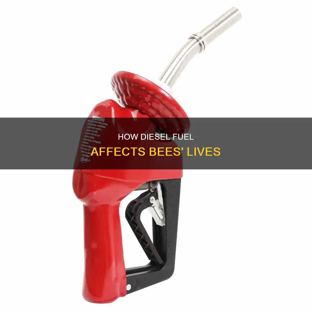 does diesel fuel kill bees