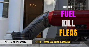 Will Diesel Fuel Kill Fleas?