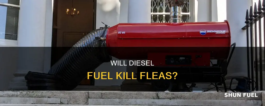 does diesel fuel kill fleas