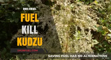 Eradicating Kudzu: Diesel Fuel as a Solution?