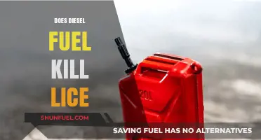 Killing Lice with Diesel Fuel: Effective or Not?