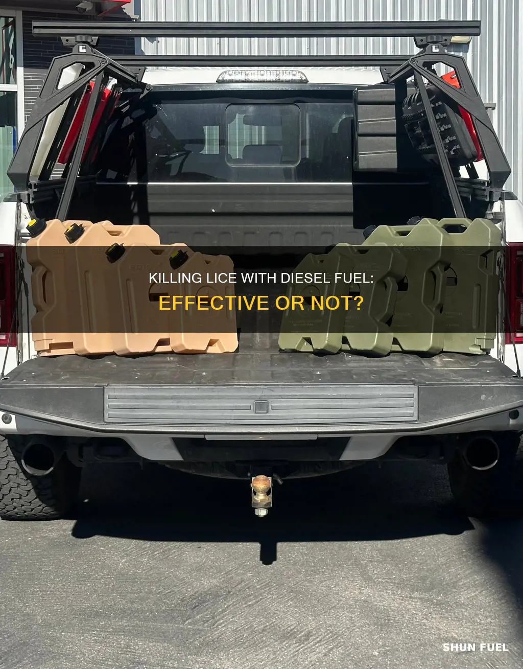does diesel fuel kill lice