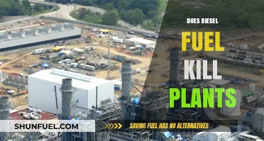 Diesel Fuel: A Plant Killer?