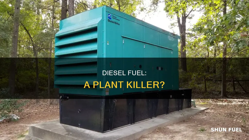 does diesel fuel kill plants