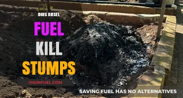 How Diesel Fuel Can Kill Tree Stumps