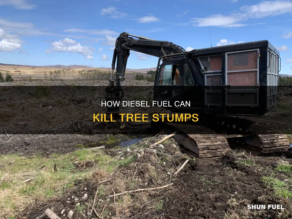 does diesel fuel kill stumps