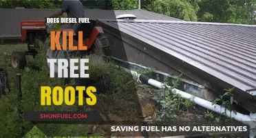 How Diesel Fuel Affects Tree Roots