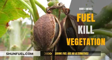How Diesel Fuel Affects Vegetation