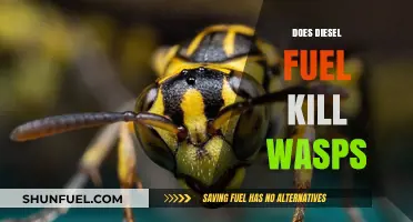 Destroying Wasps with Diesel Fuel: Effective or Not?