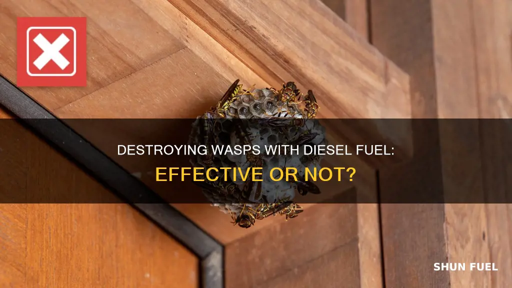 does diesel fuel kill wasps