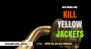 How Diesel Fuel Can Kill Yellow Jackets