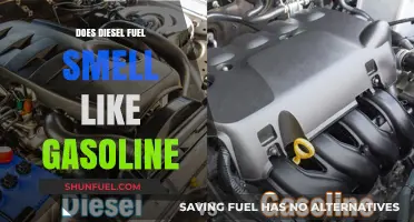 What's That Smell? Diesel vs. Gasoline