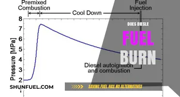Does Diesel Fuel Burn? Understanding Combustion and Efficiency