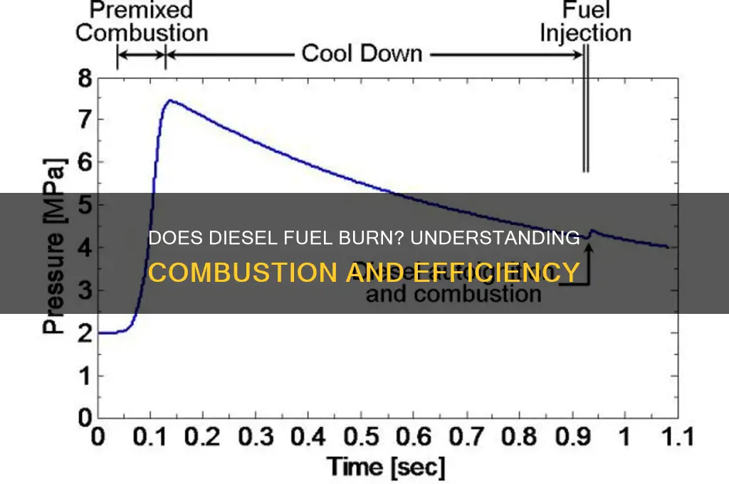 does diesle fuel burn
