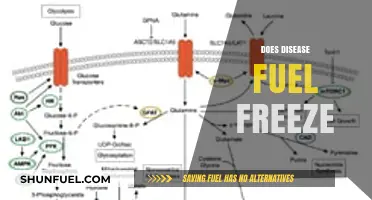 Does Disease Fuel Freeze? Exploring the Impact of Illness on Metabolism