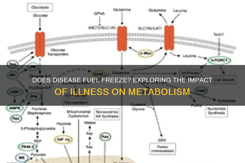 does disease fuel freeze
