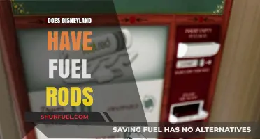 Disneyland Fuel Rod Availability: What You Need to Know