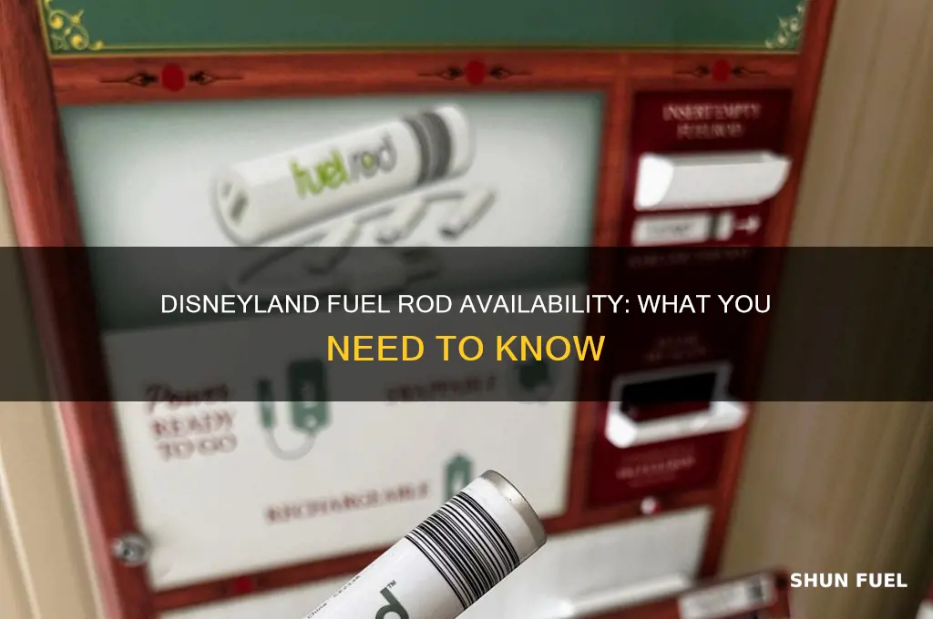 does disneyland have fuel rods